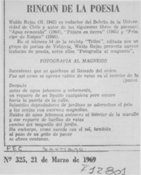 Rincón de la poesía.