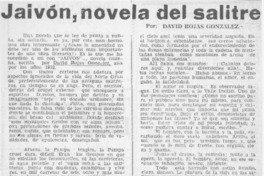 Jaivón, novela del salitre