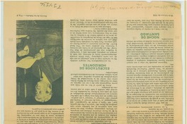 Vigía de la belleza