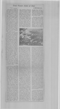 Tres voces ante el mar