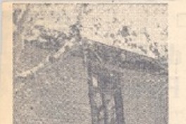 Premio Municipal de Novela (1973-1976)