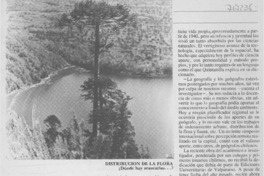 Brújula para un nuevo idioma