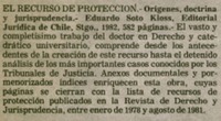 El recurso de protección.