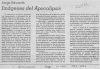 Imágenes del apocalipsis.