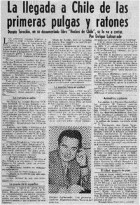 La llegada a Chile de las primeras pulgas y ratones