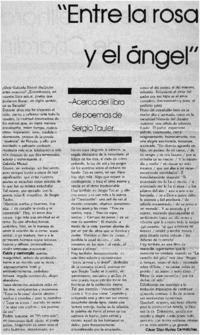 "Entre la rosa y el ángel"