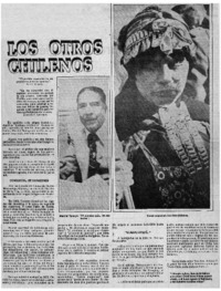 Los otros chilenos : [entrevistas]