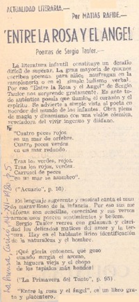 Entre la rosa y el ángel