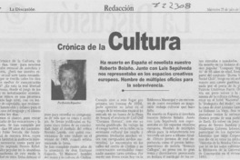 Crónica de la cultura
