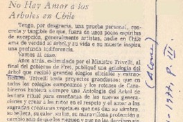 No hay amor a los árboles en Chile.