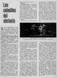 Los comillos del elefante.