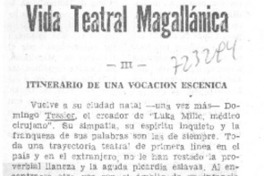 Vida teatral magallánica