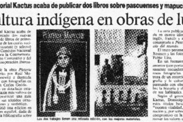 Cultura índigina en obras de lujo.