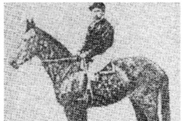 Historia de "El Ensayo".