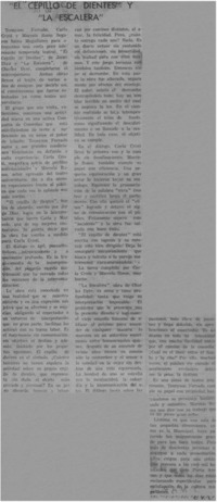 El cepillo de dientes