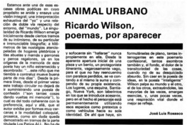 Animal urbano