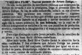 Viviana Benz, un virtuoso dar a la luz en la poesía