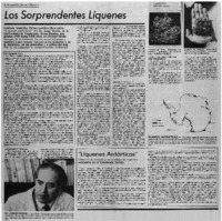 Los Sorprendentes líquenes.