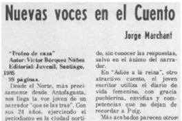 Nuevas voces en el cuento