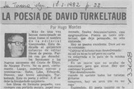 La poesía de David Turkeltaub