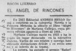 El ángel de rincones