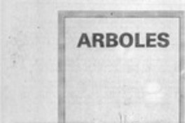 Aproximación al último poemario de A. Villaseñor