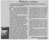 Fútbol y cultura