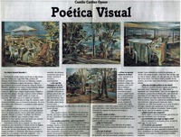 Poética visual : [entrevistas]