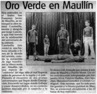 Oro verde en Maullín