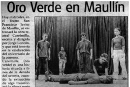 Oro verde en Maullín