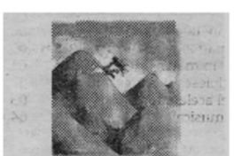 Palabras destiladas (Ante el silencio de tus ojos)