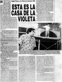 Esta es la casa de la Violeta : [entrevistas]