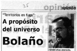 A propósito del universo Bolaño