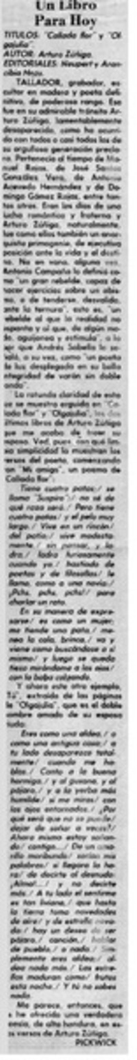 "Callada flor" y "Olgajulia"