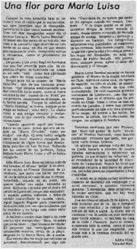 Una flor para María Luisa