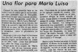 Una flor para María Luisa