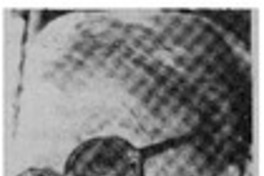 Falleció la creadora de "Papelucho".