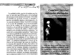 Catalina Chervin: realidades alucinadas.