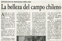 La belleza del campo chileno [entrevistas]