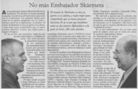 No más embajador Skármeta