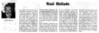 Raúl Mellado