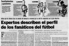 Expertos describen el perfil de los fanáticos del fútbol