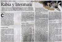 Rabia y literatura