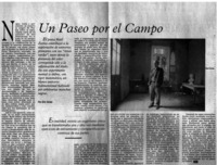 Un paseo por el campo