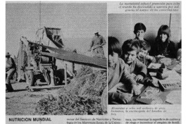 La dependencia de Theotonio