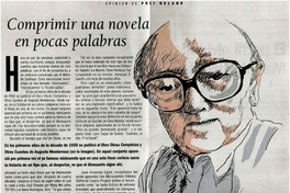 Comprimir una novela en pocas palabras