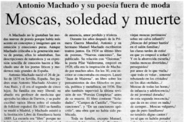 Moscas, soledad y muerte.