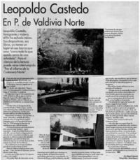 Trastornados por la estética