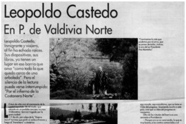 Trastornados por la estética