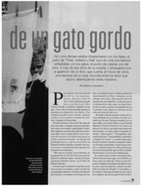 Retrato de un gato gordo